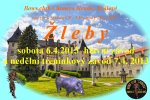 zleby2013-thumbnail